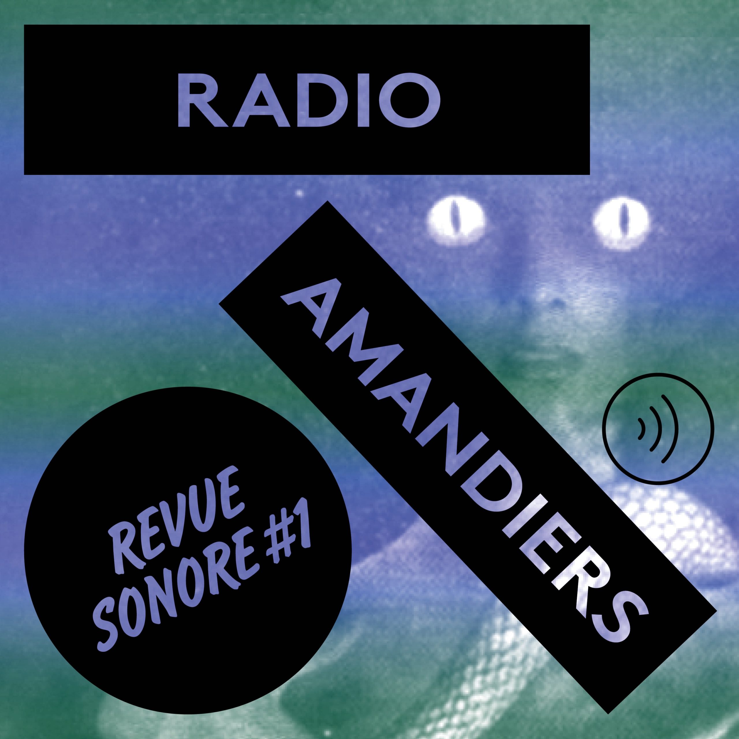 Radio Amandiers