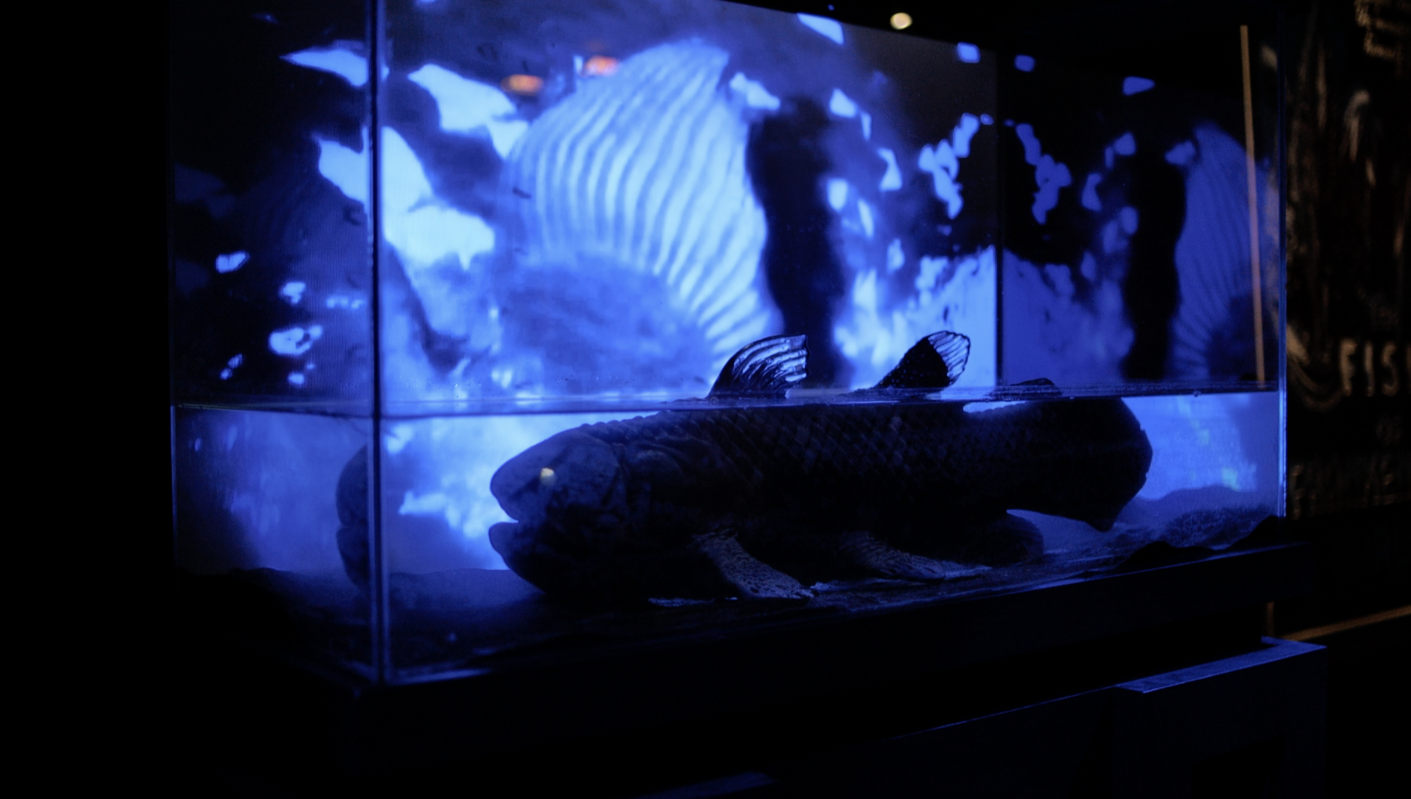 Page d’accueil - Nanterre-Amandiers